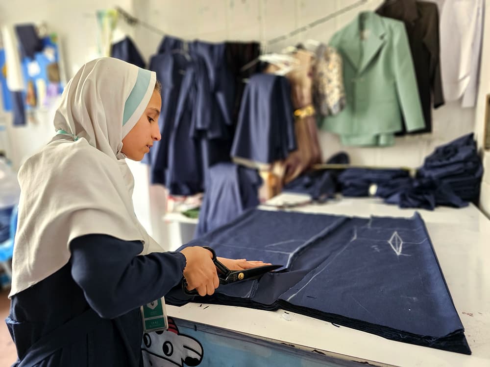 د حرفوي زده کړو پروګرام